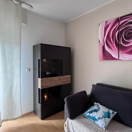 Cite * 巴登-巴登